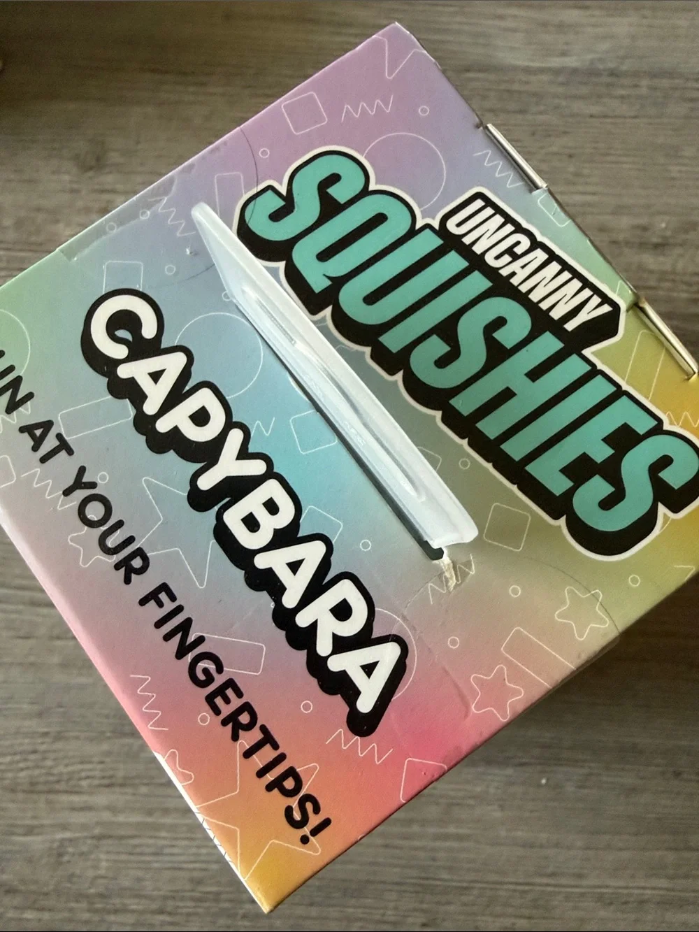 🍁2 big squishes for $25🍂Capybara Pink Glitter Squishy